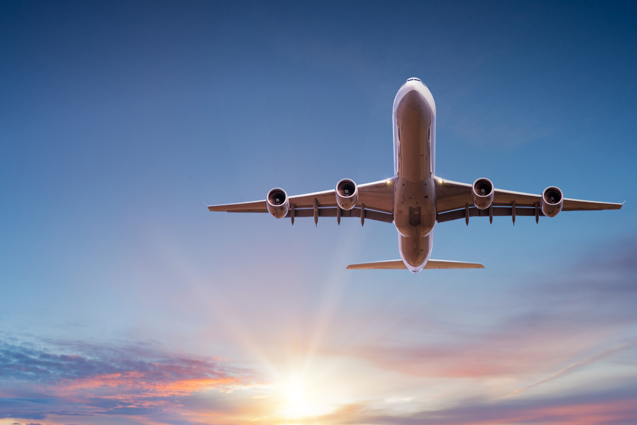 Scopri di più sull'articolo Polizza Viaggi